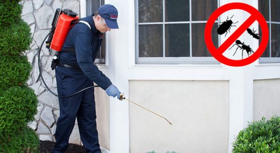 Sinop Dezenfeksiyon böcek ilaçlama ve haşere kontrolü — ilaclama-tr.com